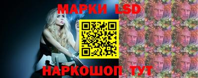 a pvp Свободный
