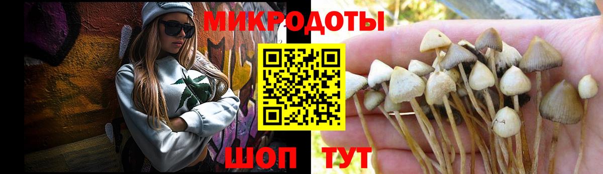 Саянск  Галлюциногенные грибы Magic Shrooms  Вход с VPN 